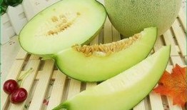 吹着风吃哈密瓜,哈密瓜的清爽之旅