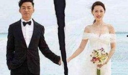 吃明星夫妻的瓜