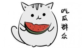 吃瓜群众02,网络红人的崛起与影响力