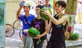 河北学院吃瓜,揭秘校园里的“瓜田”风云