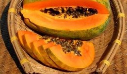 吃瓜达人免费吃瓜入口,畅享瓜界盛宴！