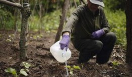 大妈吃大瓜,揭秘网络热传背后的故事