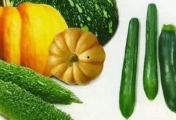 小遥吃瓜,揭秘娱乐圈那些不为人知的幕后故事