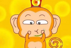 猴王吃瓜素材高清图片,高清美图尽展自然趣味