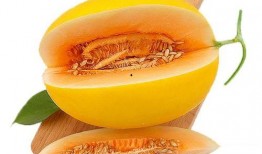 圣哥吃蜜瓜,一场味蕾与视觉的极致享受