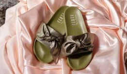 puma 吃瓜,一场别开生面的美食探险