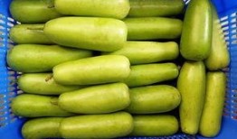 吃三肉三瓜有什么好处