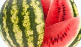 角瓜为什么不能总吃呢,为何角瓜不宜频繁食用