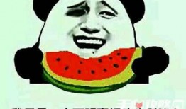 什么梗吃瓜群众,揭秘“吃瓜群众”背后的网络梗文化现象