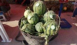 小魏吃瓜,揭秘娱乐圈那些不为人知的幕后故事