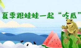 小金蛙吃瓜,小金蛙的夏日瓜果盛宴