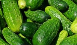 梦见吃红瓜孑,揭秘红瓜孑的神秘寓意