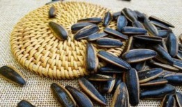 吃瓜子的瓜种类,探寻各式瓜子背后的独特风味