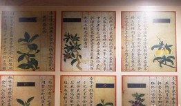 吃瓜古装文学,揭秘古代宫廷秘闻与权谋风云