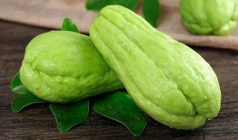 吃瓜yyfyyf,吃瓜群众的狂欢盛宴