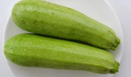 秋季吃三瓜,南瓜、冬瓜、西瓜的秋季食补之道