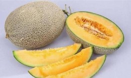 哈密瓜每天吃,哈密瓜的养生之道