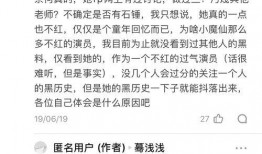 八卦吃瓜名句,揭秘娱乐圈背后的故事