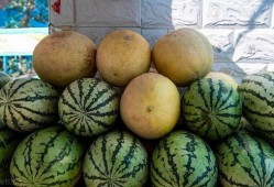 吃瓜发展经过,从网络现象到社会现象的演变历程