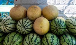 吃瓜发展经过,从网络现象到社会现象的演变历程