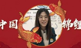 吃瓜的小锦鲤,揭秘娱乐圈幕后故事