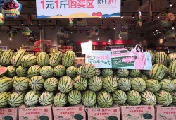 中卫吃瓜比赛奖品