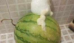 泡泡吃瓜焕儿,揭秘网红界的趣味生活