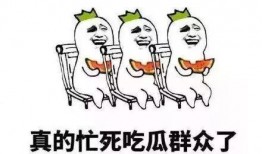 吃瓜群众的素质,素质高低，瓜田里的众生相