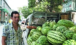 吃瓜交易市场,瓜界风云录