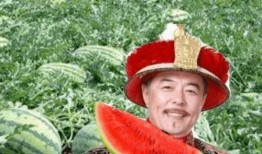 瓜农路上吃瓜视频