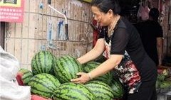 吃瓜最新事件东北,揭秘幕后真相与网友热议