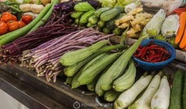 wx吃瓜群台州,一场关于本地趣事的网络狂欢