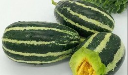 大瓜尖怎么吃,解锁美味新境界