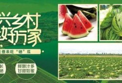 辛勤吃瓜