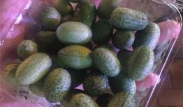 热情吃瓜群众浪天,揭秘网络热点的幕后故事