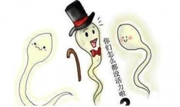 吃瓜热议,揭秘网络热点背后的真相与争议