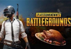 万琼吃鸡瓜,揭秘瓜农的致富传奇