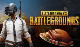 万琼吃鸡瓜,揭秘瓜农的致富传奇