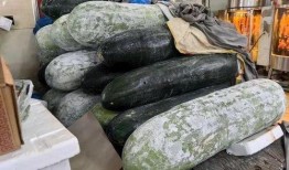 吃一堆瓜,揭秘娱乐圈那些不为人知的幕后故事