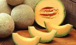 瓜州吃哈密瓜的地方,探寻哈密瓜的甜蜜之源