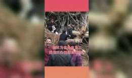 吃瓜星球,揭秘神秘星球的瓜果传奇