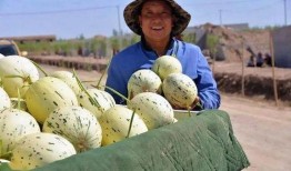 晚州吃瓜事件,揭秘网络谣言背后的真相