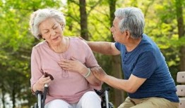 理性吃瓜吃心脏,揭秘健康饮食之道