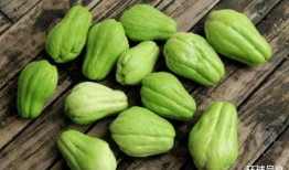 吃鸡瓜的寓意,寓意吉祥，共享丰收喜悦