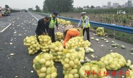 吃瓜群众萨日朗,揭秘吃瓜群众的趣味生活