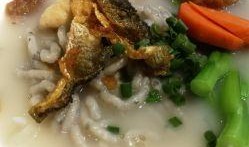 锦鱼吃瓜,瓜田乐享——锦鱼吃瓜的趣味瞬间