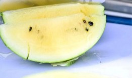 香港最新吃瓜,明星幕后故事大曝光