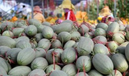 蜜瓜多少卡路里可以吃,多少热量让你放心享用