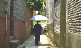 确山吃瓜群众事件,一场网络舆论的风暴与反思