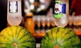 怎么在外网吃瓜,揭秘外网吃瓜指南